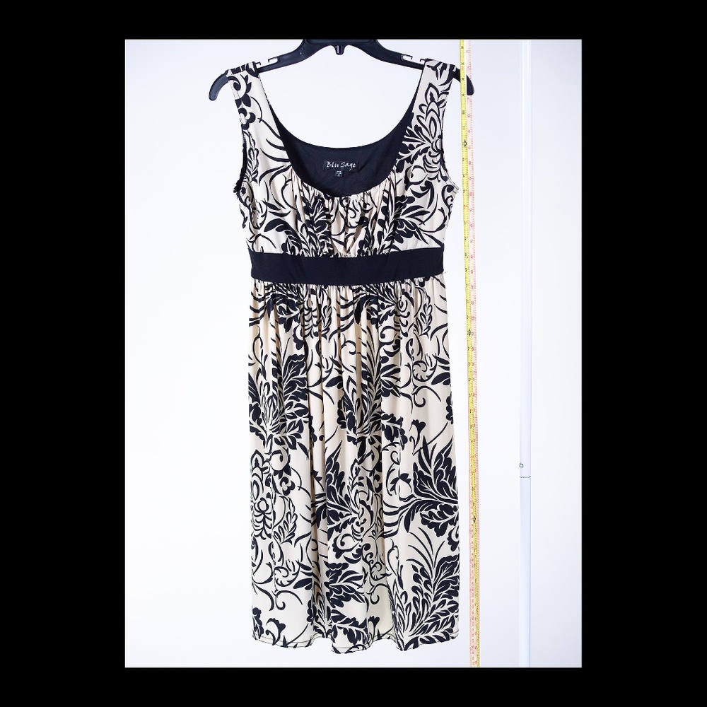 SALE PRICED Blue Sage / Bonus Evil Protection